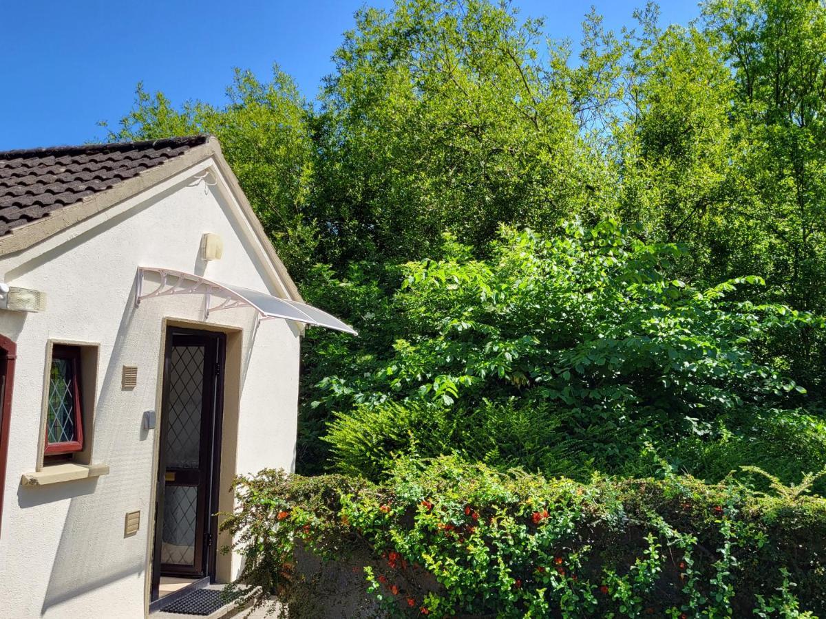 Oak Cottage 3 Km From Rock Of Cashel Cashel  Luaran gambar
