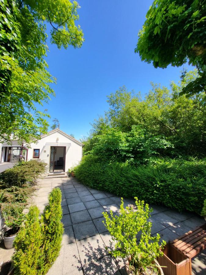 Oak Cottage 3 Km From Rock Of Cashel Cashel  Luaran gambar