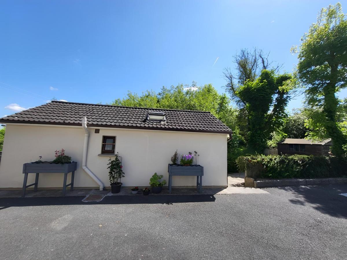 Oak Cottage 3 Km From Rock Of Cashel Cashel  Luaran gambar