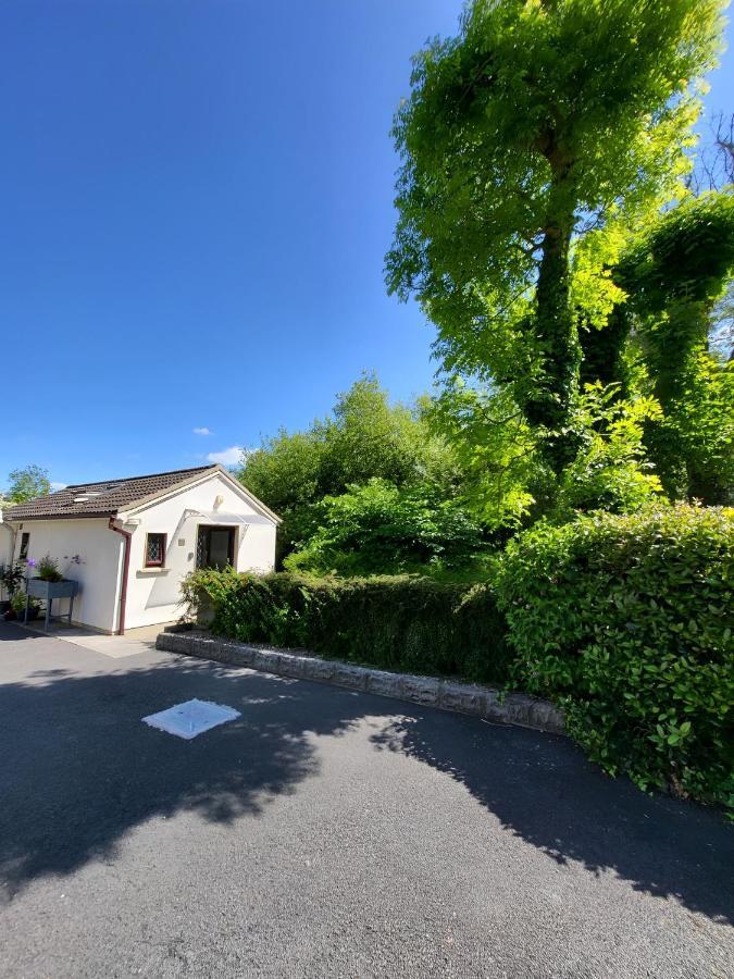 Oak Cottage 3 Km From Rock Of Cashel Cashel  Luaran gambar
